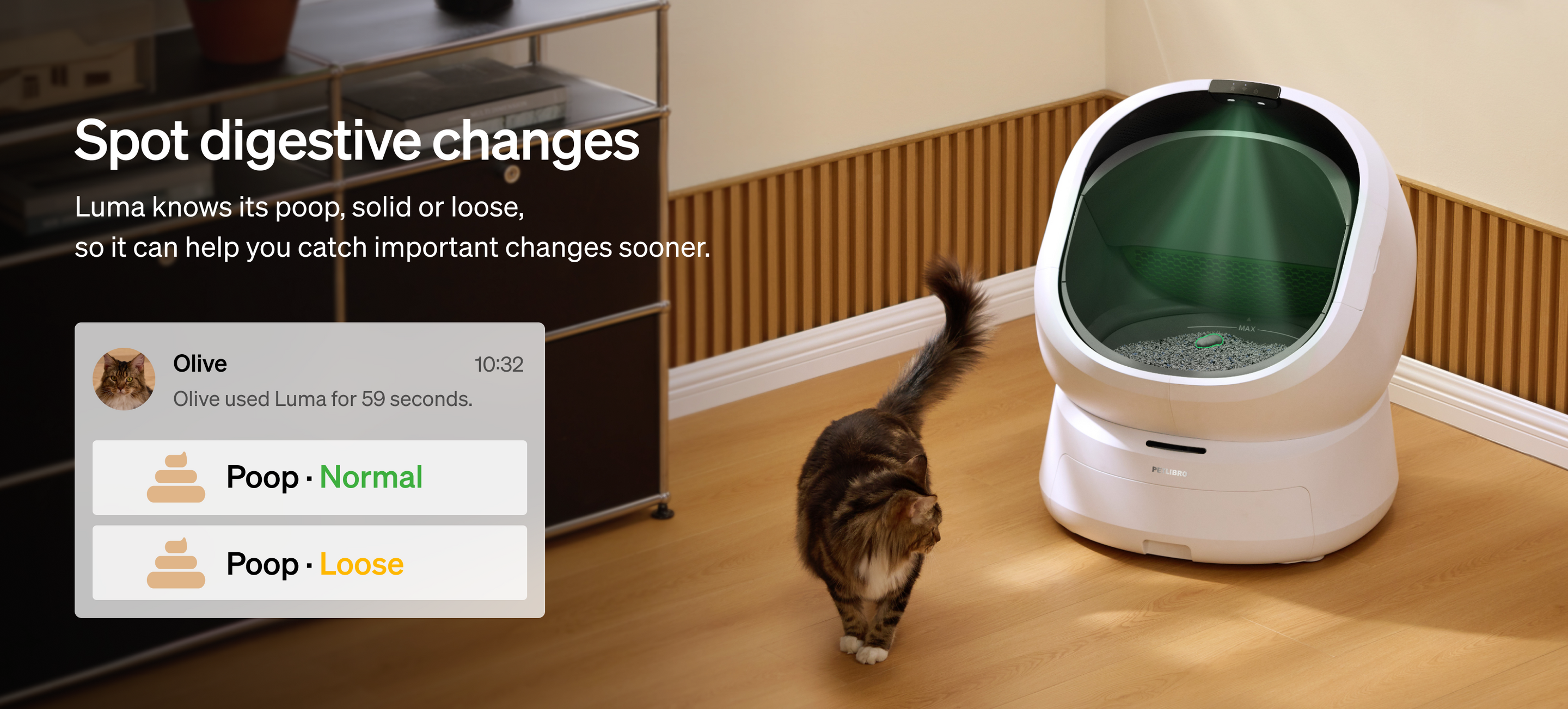 Petlibro PETLIBRO smart pet litter box in white with green hood, cat nearby, app shows poop status normal or loose