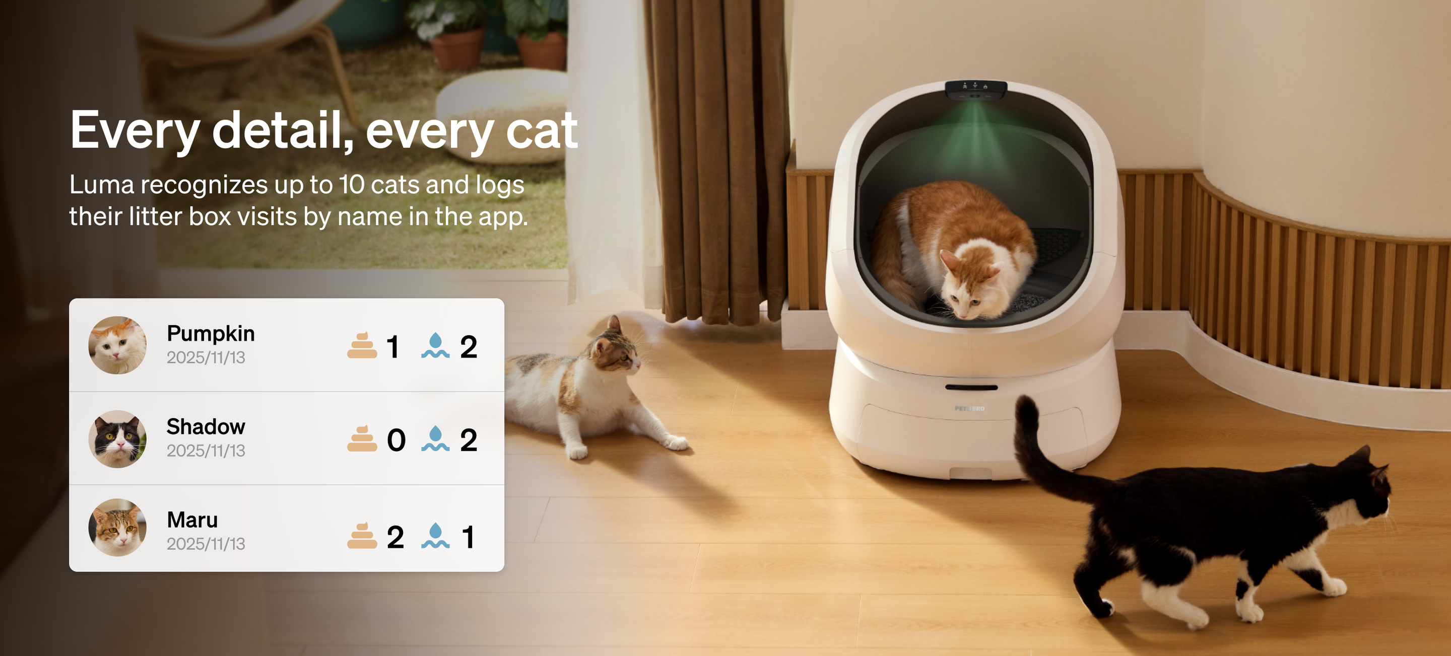 Petlibro PETLIBRO smart pet litter box in living room, cat inside and two nearby, app panel tracking multi-cat visits