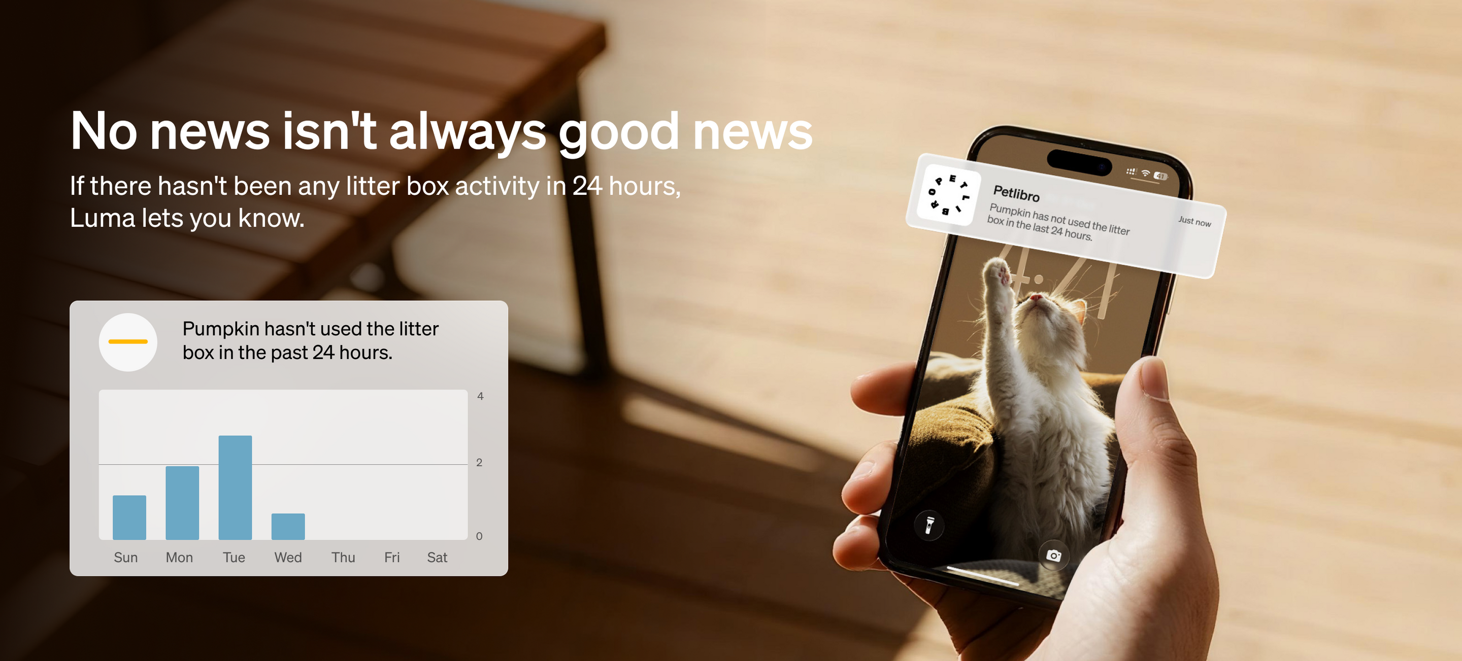 Petlibro PETLIBRO app alert on phone for pet litter box inactivity, showing cat photo and 24-hour usage chart notification