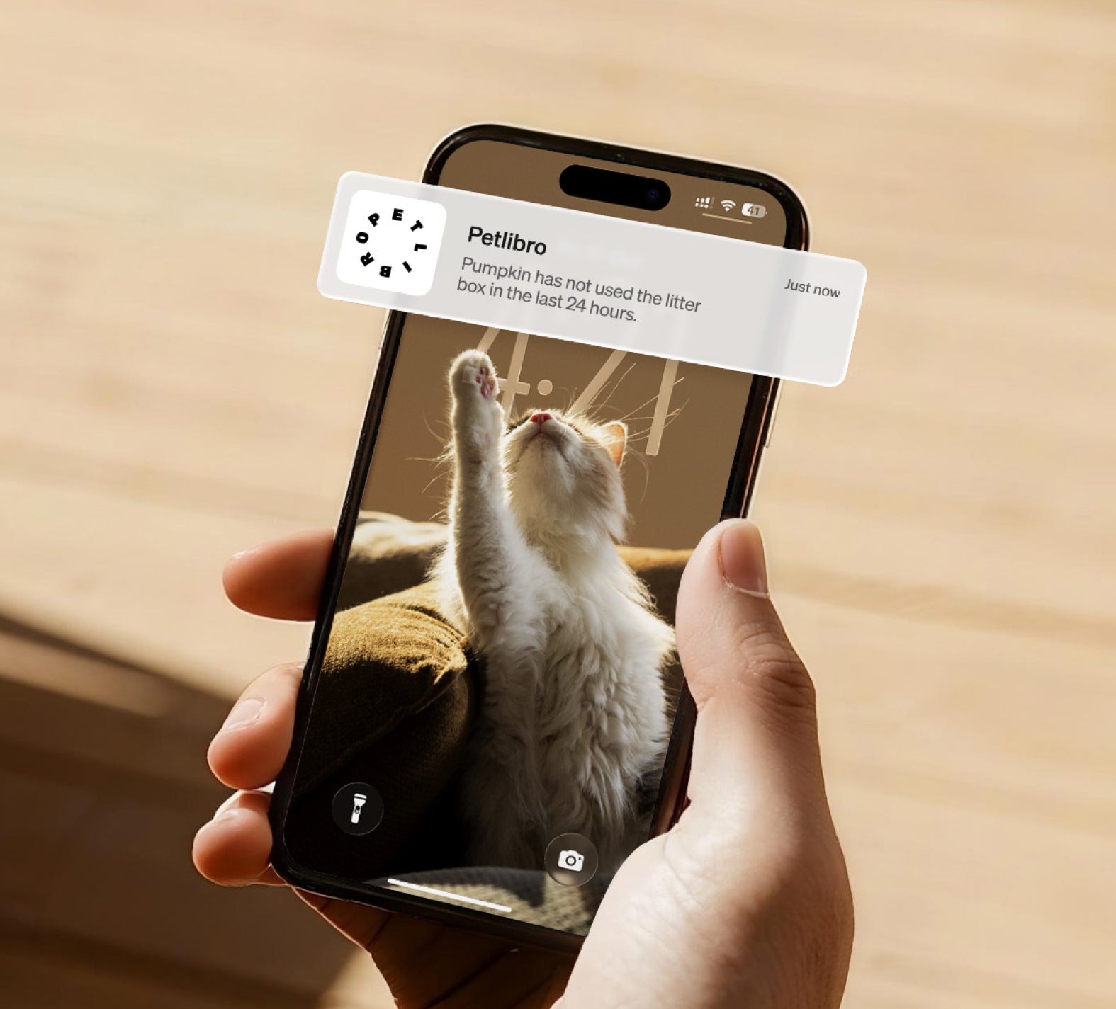 Petlibro smartphone notification alert showing a cat health update about litter box usage on a phone screen