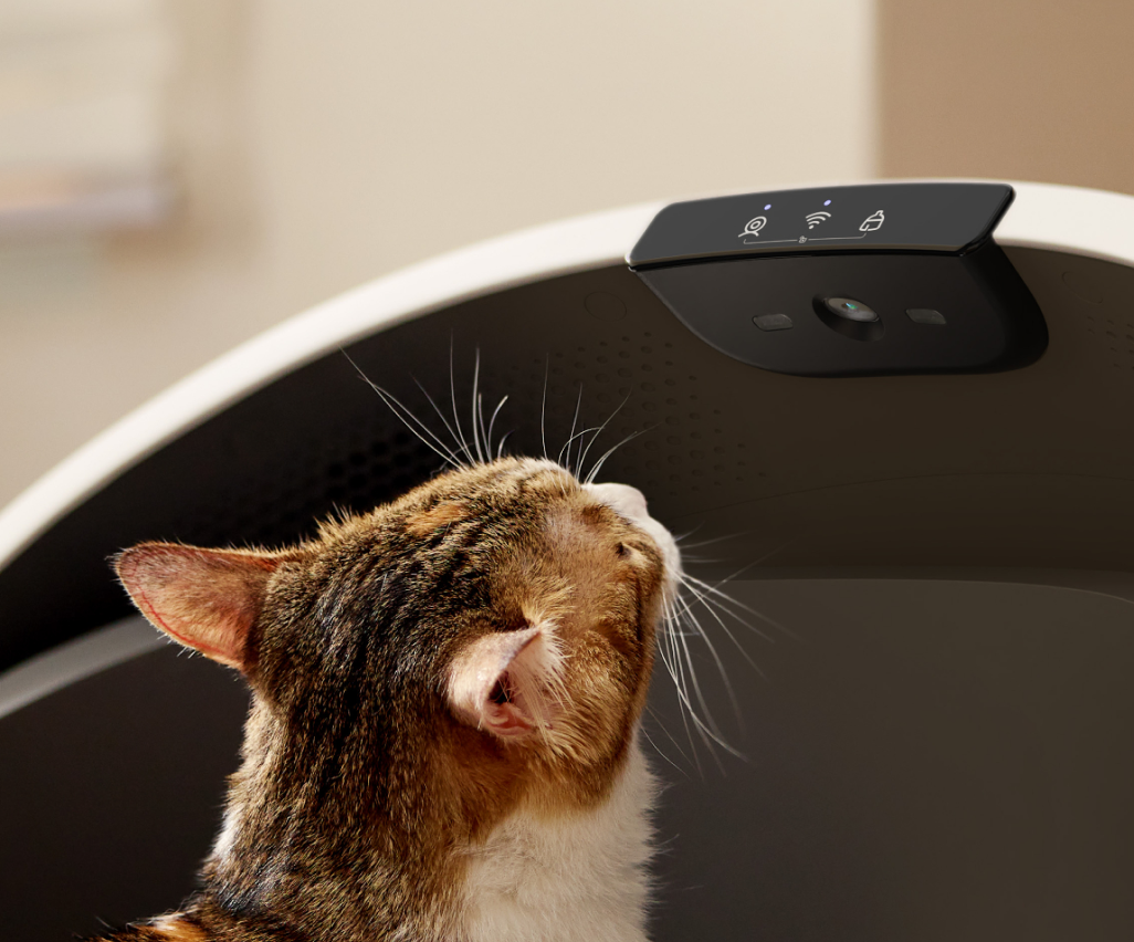 Petlibro PETLIBRO pet litter box close-up, cat looking up at black control panel with indicator icons on rim