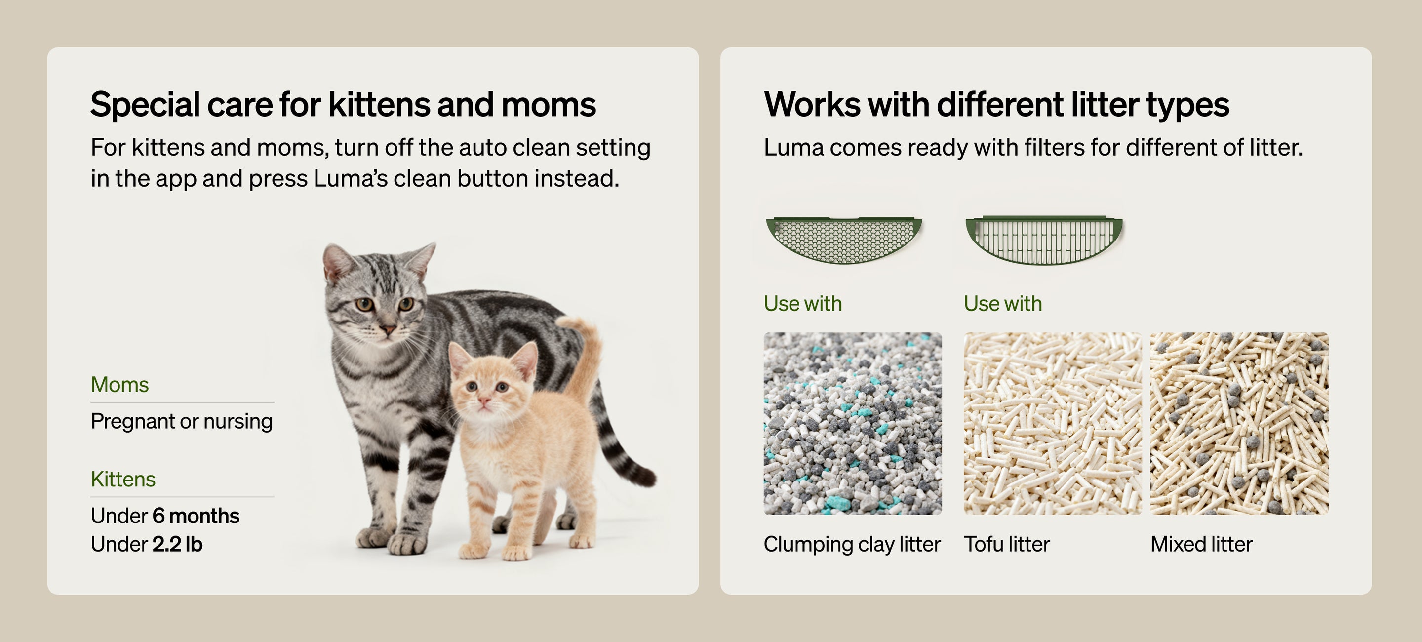 Petlibro informational graphic showing kitten and mom care instructions and litter filter compatibility with clumping clay, tofu, and mixed litter types