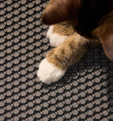 Petlibro textured black pet feeding mat with a cat's brown and white paws resting on it