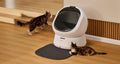 Petlibro automatic self-cleaning cat litter box in white with gray mat, shown with two cats in a home setting