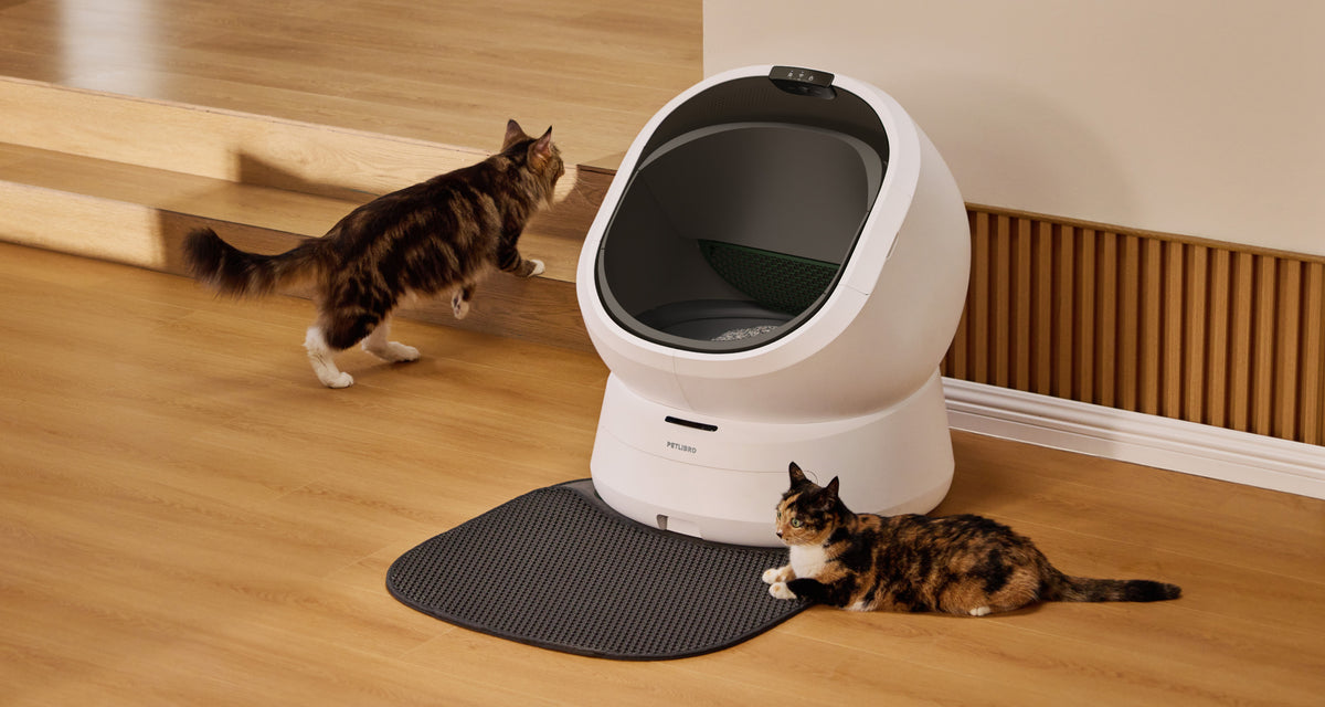 Petlibro automatic self-cleaning cat litter box in white with gray mat, shown with two cats in a home setting