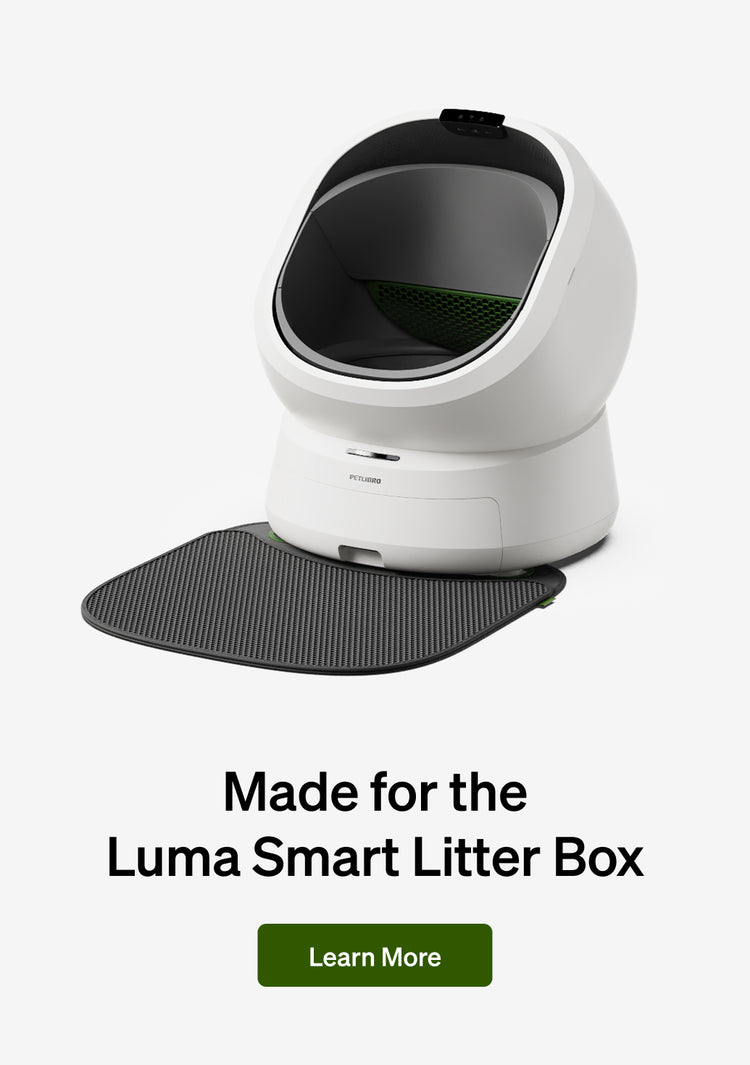 Petlibro Luma Smart Litter Box
