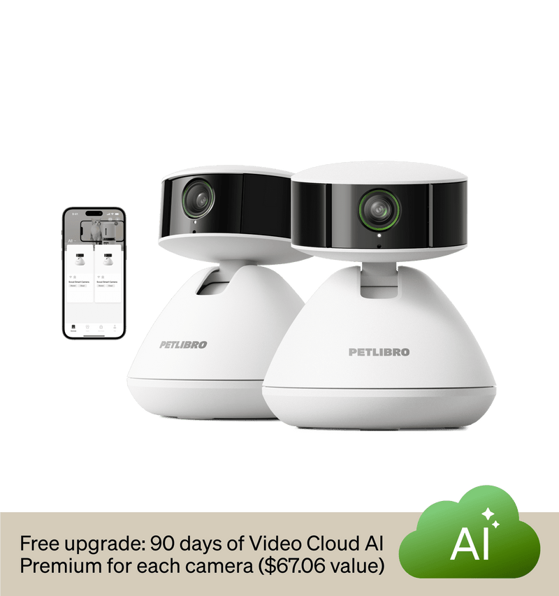 Petlibro PETLIBRO pet camera set with app view; not a litter box, cat monitoring cameras in white and black design