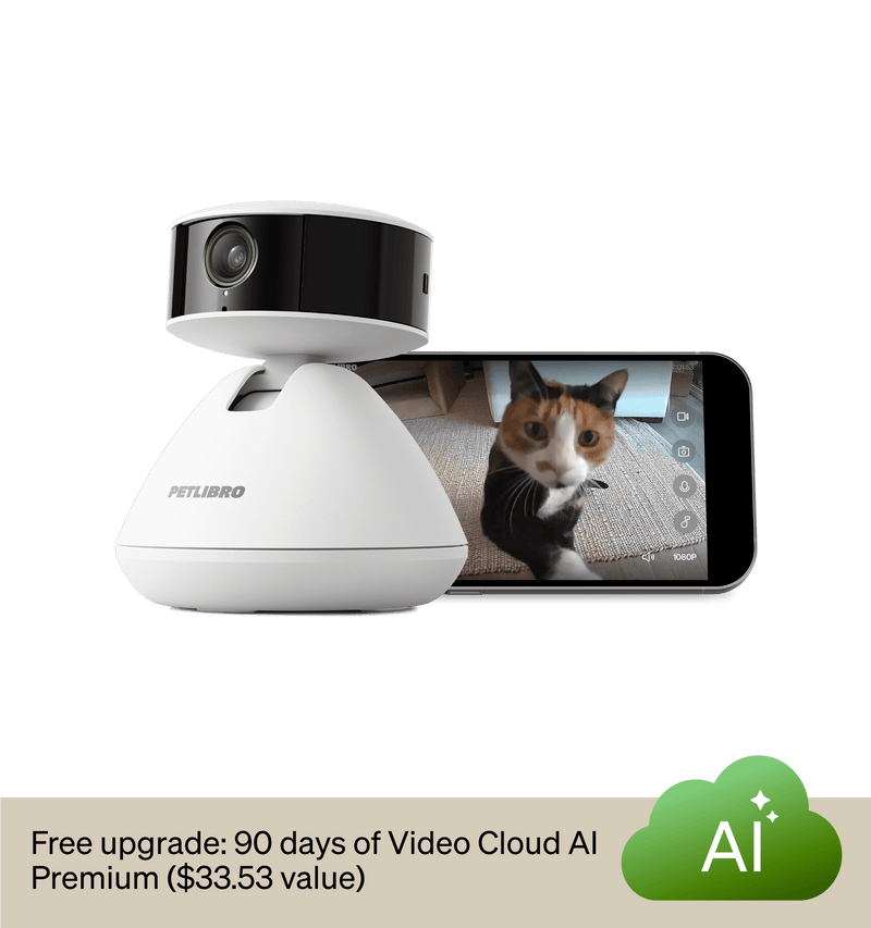 Petlibro PETLIBRO pet camera monitoring a cat near a litter box, white smart device shown with live video on phone screen