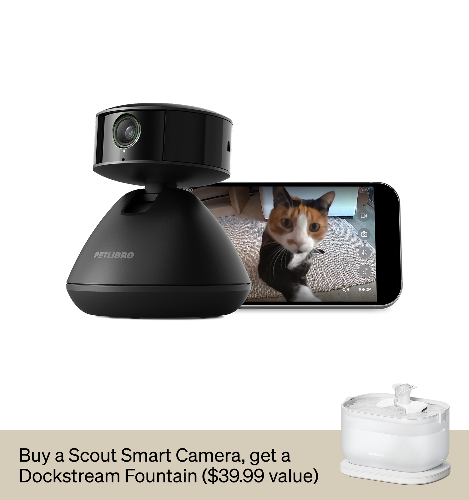 Scout Smart Camera & Dockstream Fountain - PETLIBRO