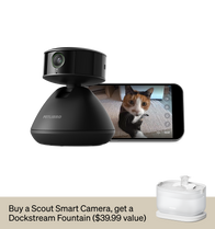 Scout Smart Camera & Dockstream Fountain - PETLIBRO