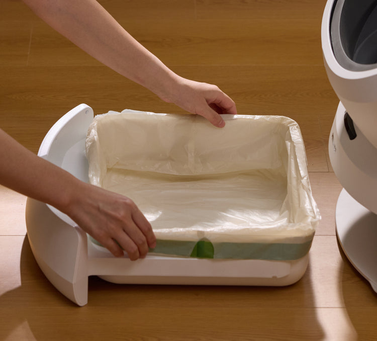 Petlibro white automatic cat litter box with removable tray and disposable liner being installed on wooden floor