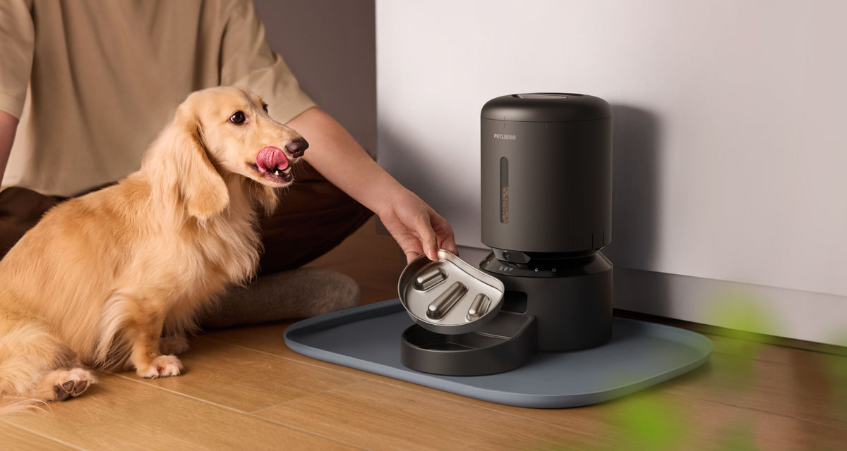 Petlibro automatic pet feeder in matte black with detachable stainless steel bowl and food storage container