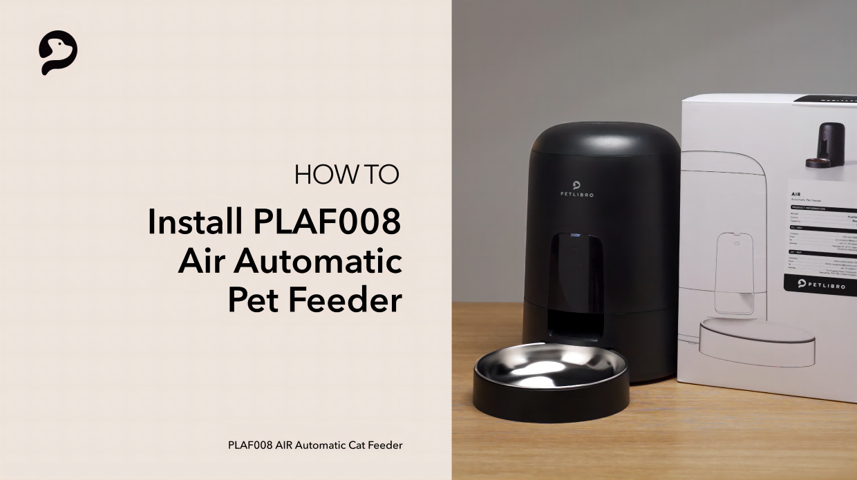 Does this Automatic Pet Feeder Really Work? 