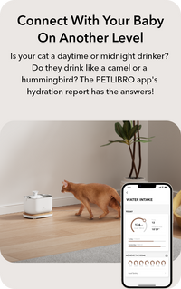 Dockstream Smart Fountain