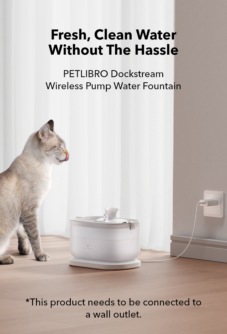 Pump for cat water fountain hot sale