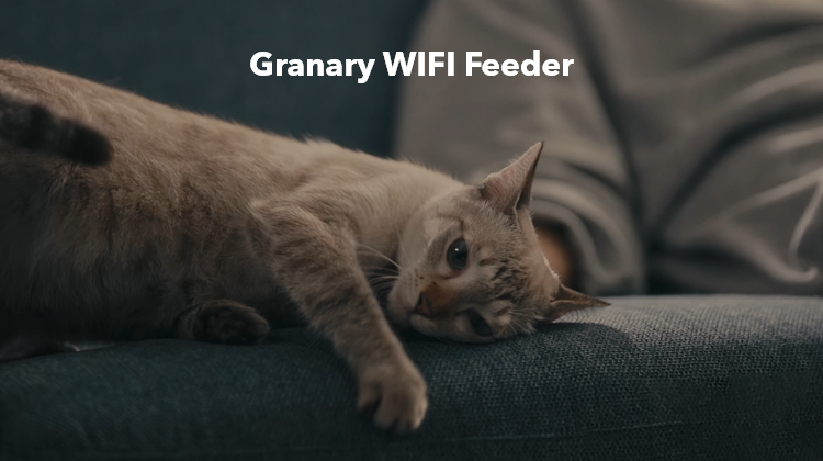 Petlibro PETLIBRO pet cat lounging on blue sofa under “Granary WIFI Feeder” text, not a litter box scene