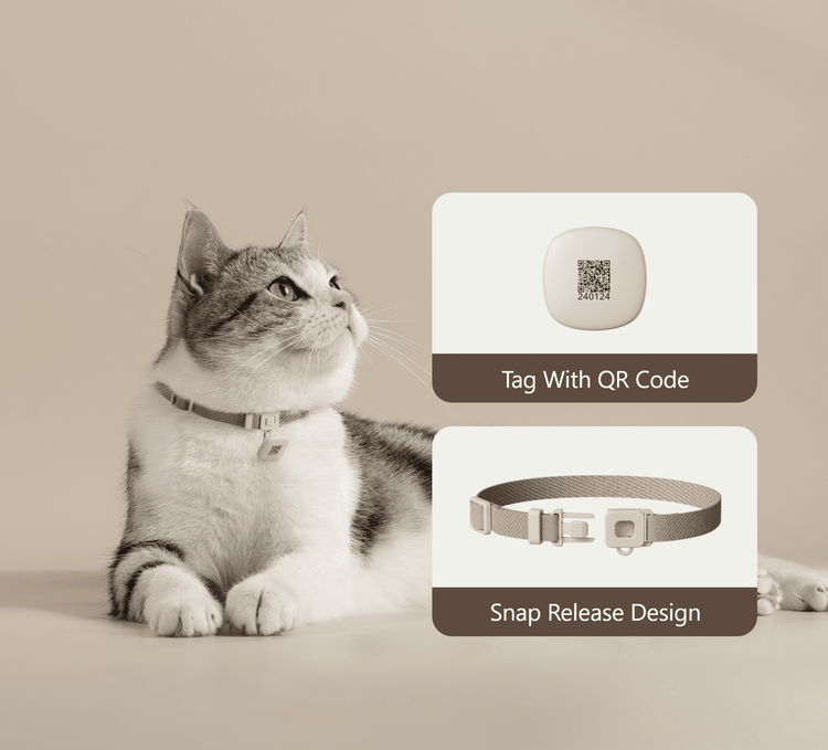 Petlibro cat collar in beige with snap release design and QR code tag for pet identification