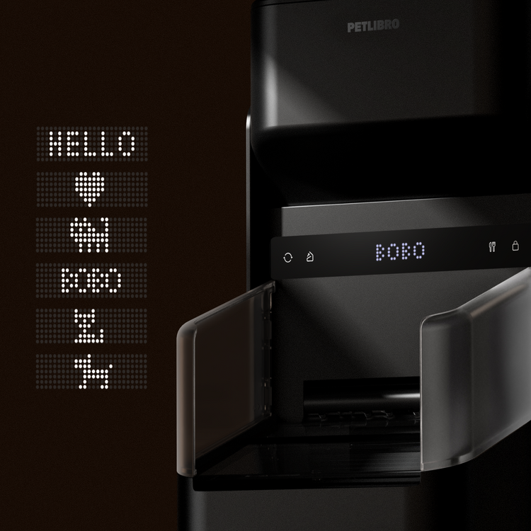 Petlibro black automatic pet feeder with digital LED display and open feeding tray
