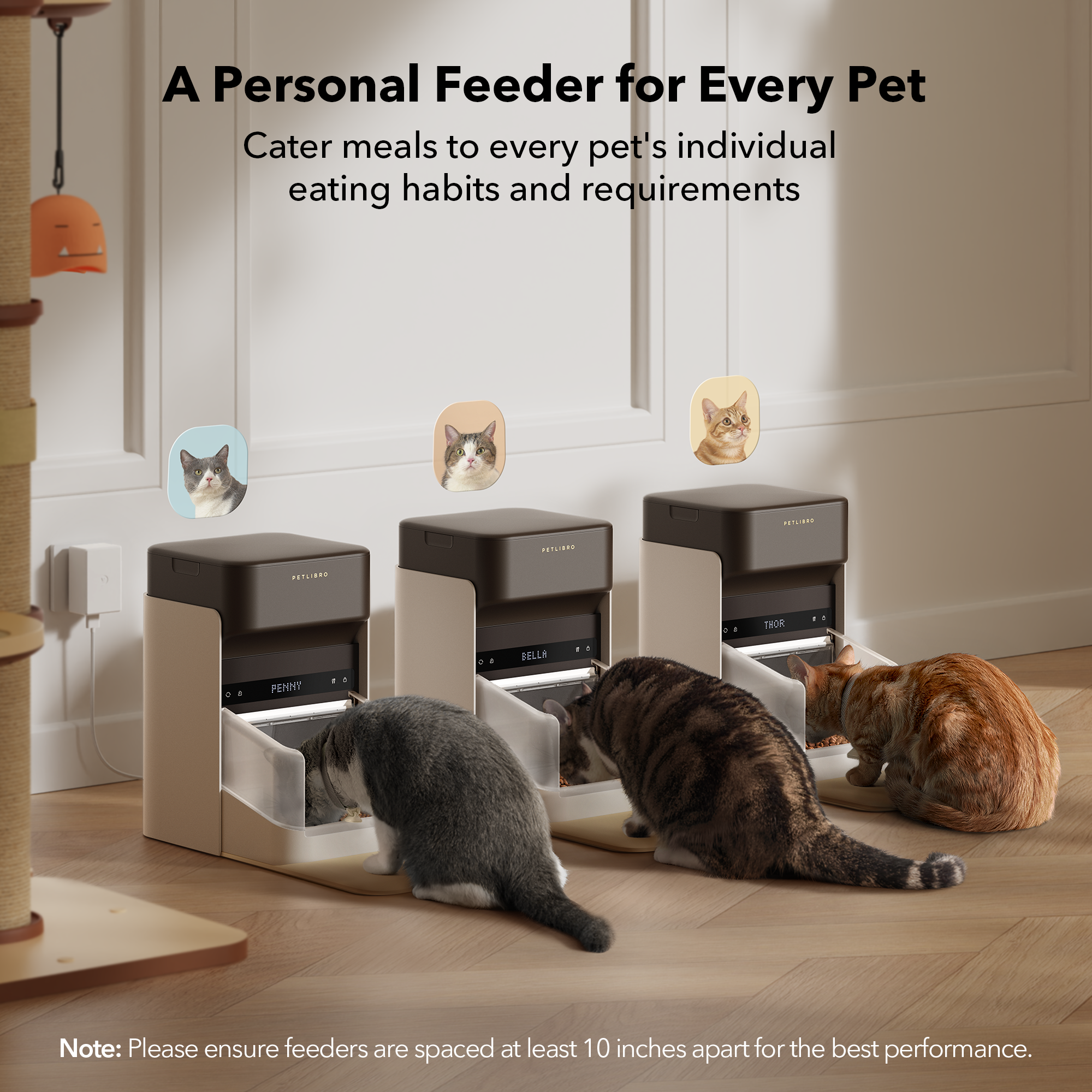 PETLIBRO One RFID Pet Feeder