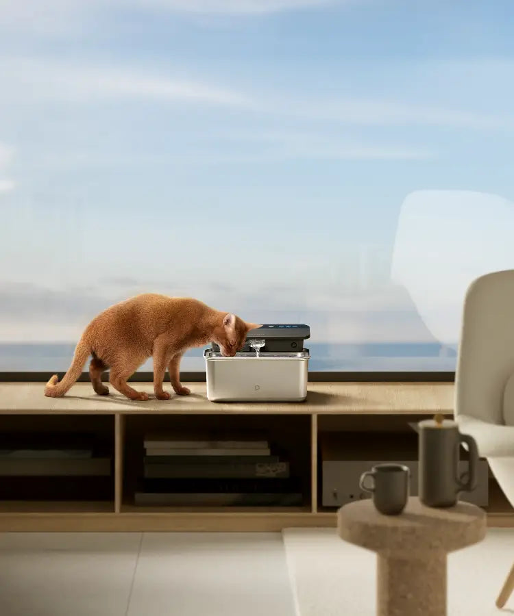 Glacier Ultrafiltration Stainless Steel Pet Water Fountain