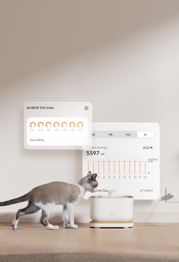 Petlibro Dockstream Smart Fountain Petlibro Dockstream Smart Fountain