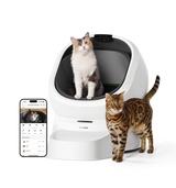 Petlibro PETLIBRO pet litter box, white smart unit with open dome, cat inside, Bengal cat beside, app screen shown