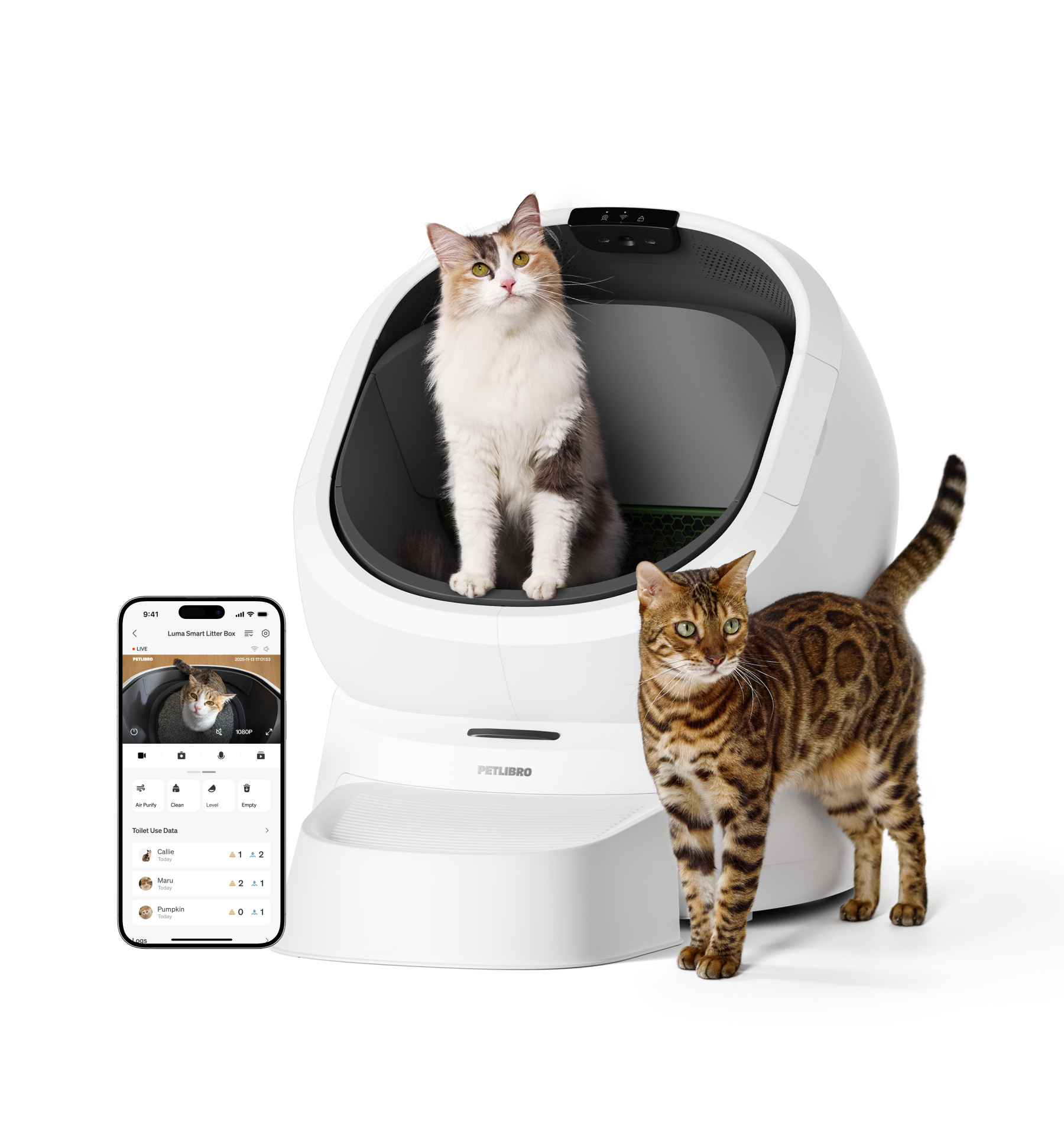 Petlibro PETLIBRO pet litter box, white smart unit with open dome, cat inside, Bengal cat beside, app screen shown