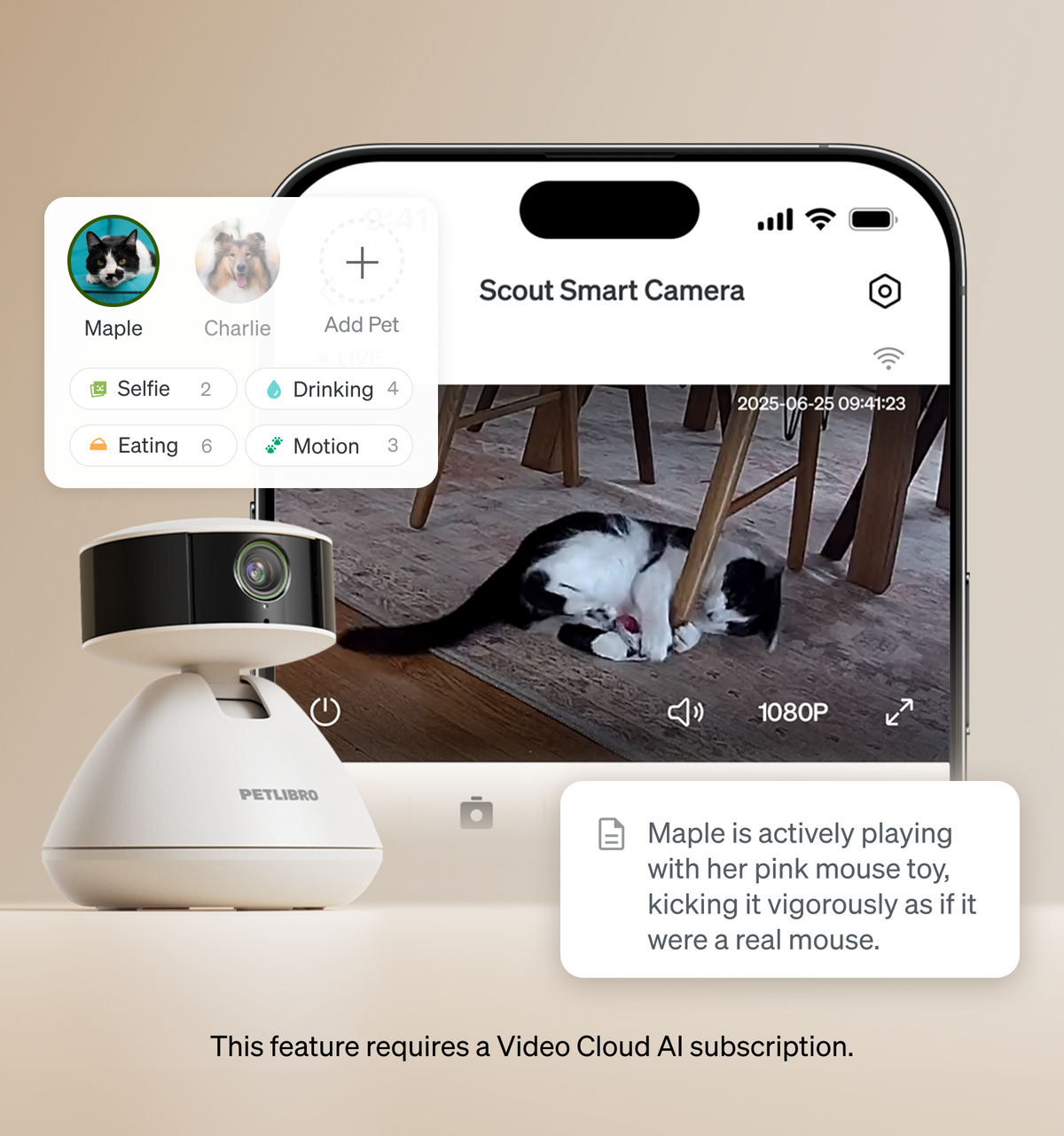 Petlibro PETLIBRO pet smart camera app watching a cat playing; not a litter box, shows indoor monitoring screen and device