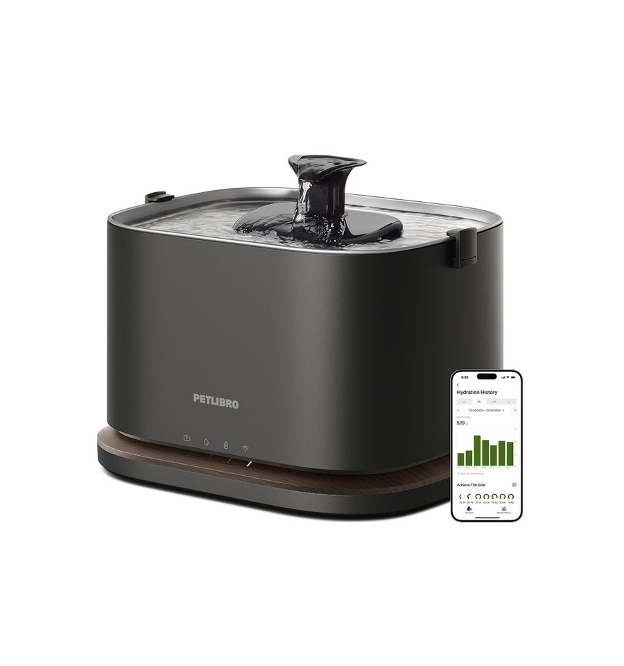 Petlibro PETLIBRO black pet water fountain with flowing spout and app screen; not a cat litter box for pet cat care