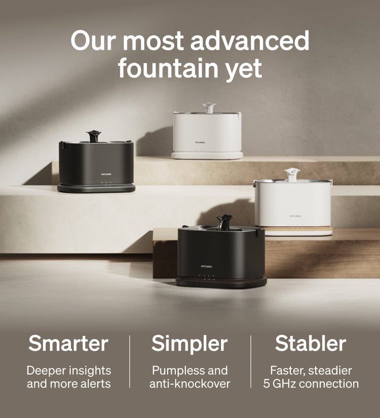 Petlibro PETLIBRO pet water fountain lineup in black and white; not a cat litter box, for cat hydration on tiered display