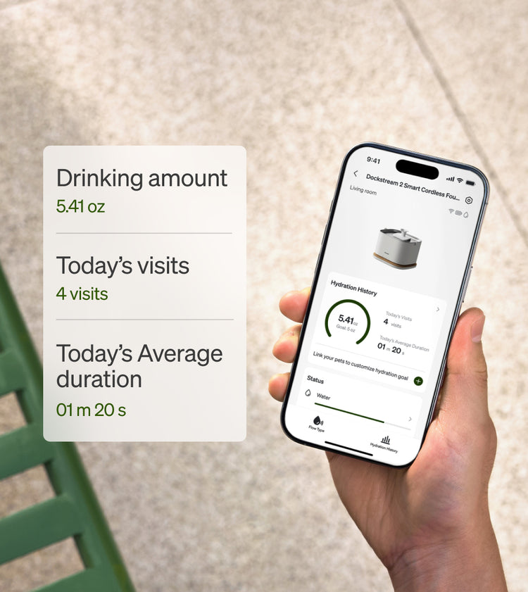 Petlibro PETLIBRO app on phone tracking pet drinking; hydration stats shown, not a litter box product photo