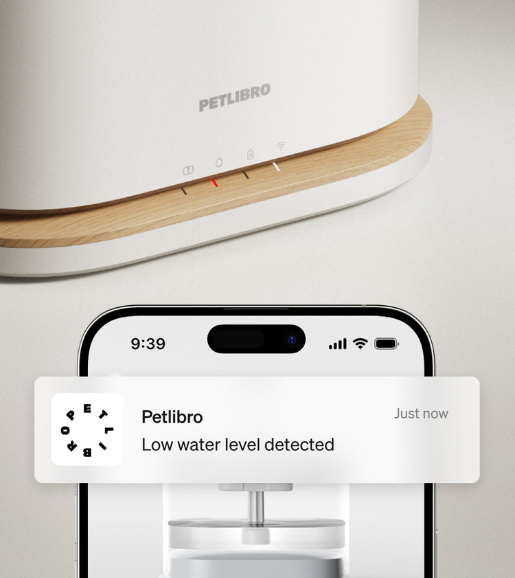 Petlibro PETLIBRO pet litter box close-up with wood trim and status lights above phone alert notification screen