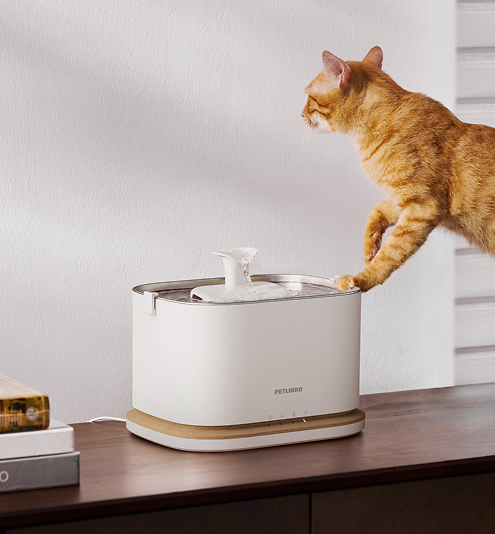 Petlibro PETLIBRO pet water fountain, white stainless top; cat drinks beside litter box area on wooden table