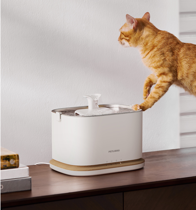 Petlibro PETLIBRO pet water fountain on wood base, orange cat drinking; not a litter box, modern white countertop feeder setup