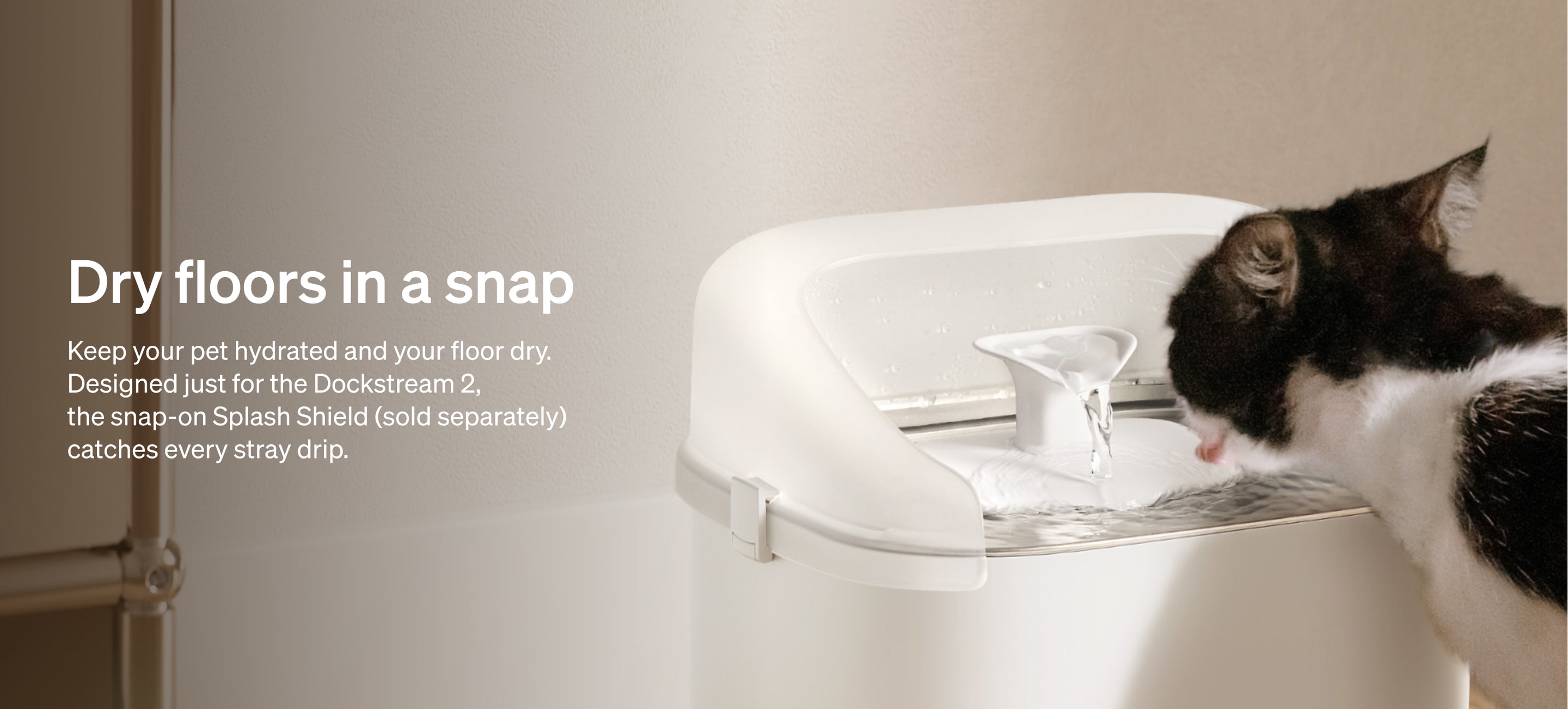Petlibro PETLIBRO pet water fountain with splash shield, cat drinking; keeps floors dry near litter box area