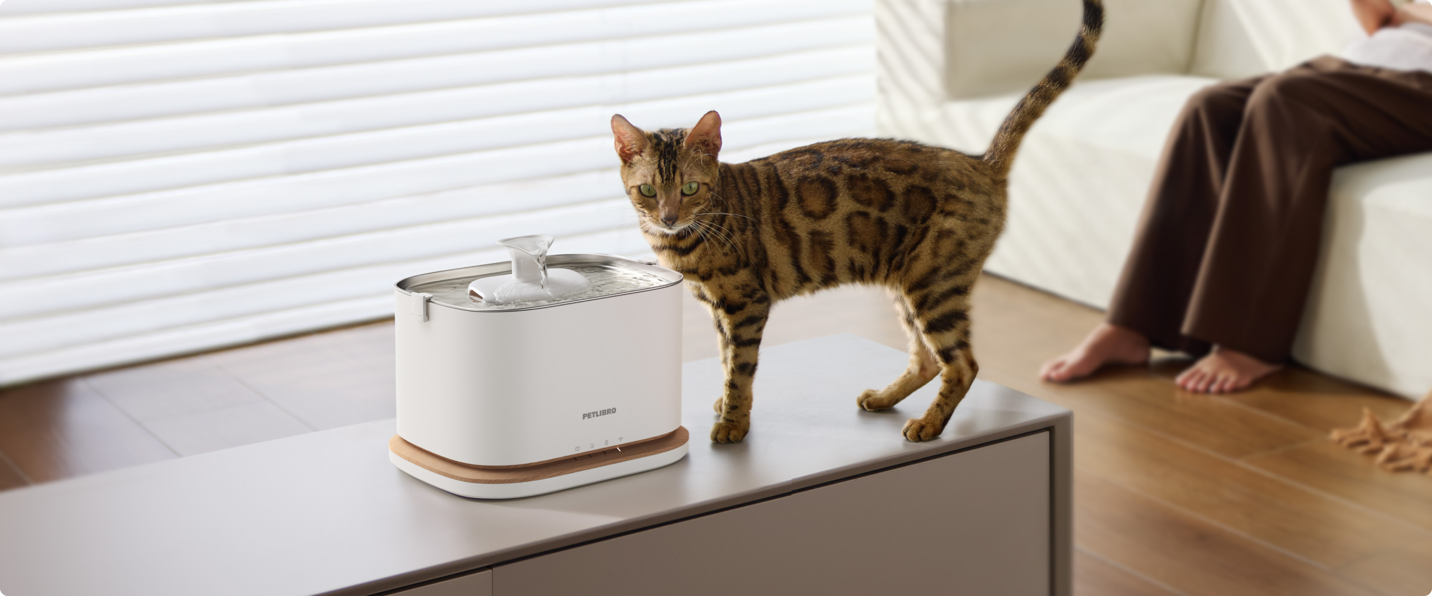 Petlibro PETLIBRO pet fountain, white cat water fountain with flowing spout, beside a Bengal cat on a table indoors