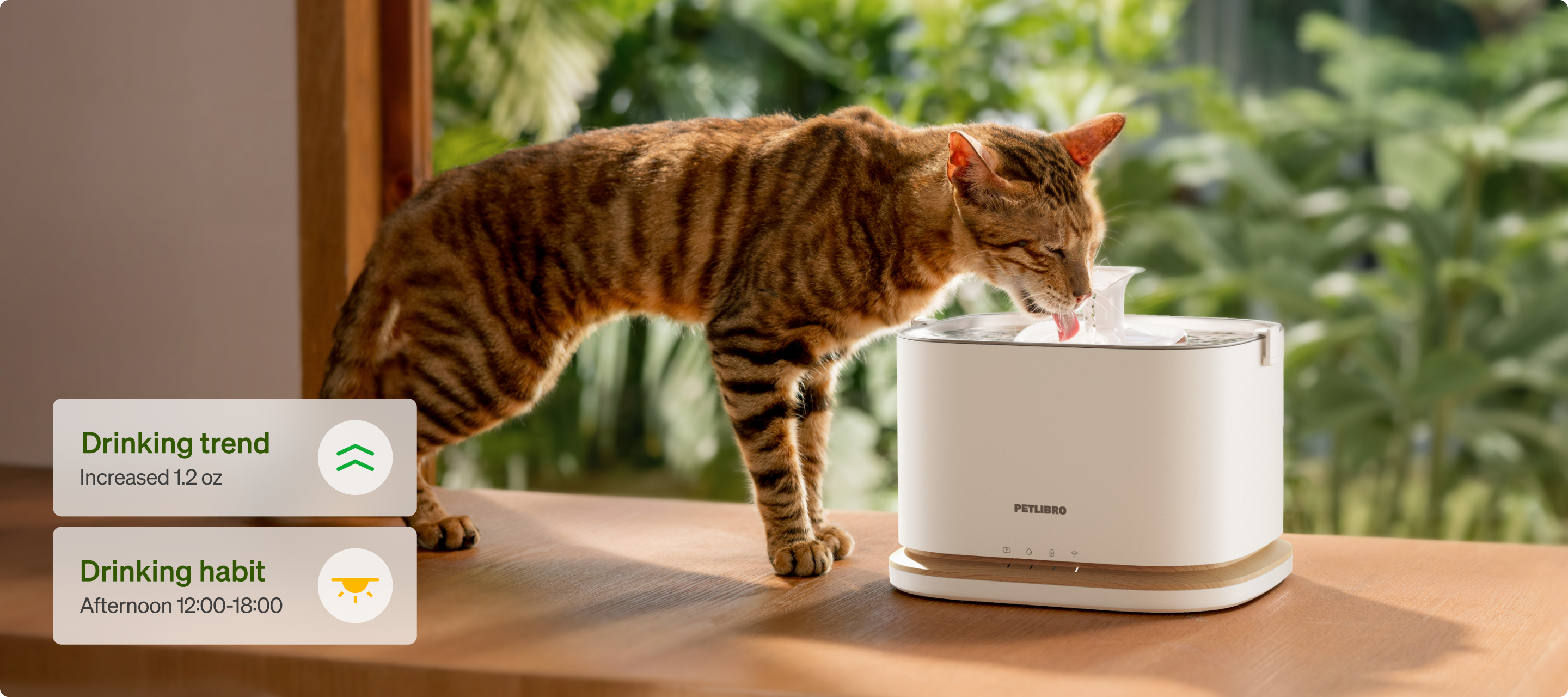 Petlibro cat drinking from white fountain; Petlibro Luma、Petlibro Luma odor control、luma smart litter box, automatic litter box, litter box deodorizer keywords