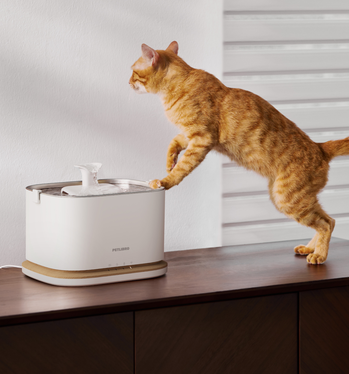Petlibro PETLIBRO pet fountain, white cat water fountain with wood base, orange tabby cat drinking on table