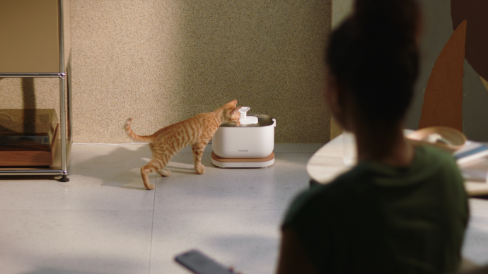 Petlibro automatic pet water fountain in white and beige with a cat drinking, shown in a modern indoor setting