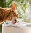Petlibro automatic pet water fountain in white with flowing water, a cat drinking from the spout in a bright indoor setting