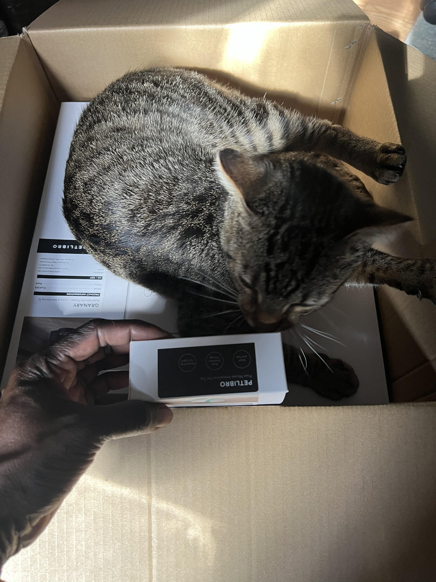 Customer pet hydration photo
