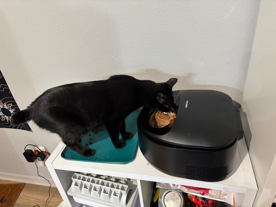 Customer pet hydration photo