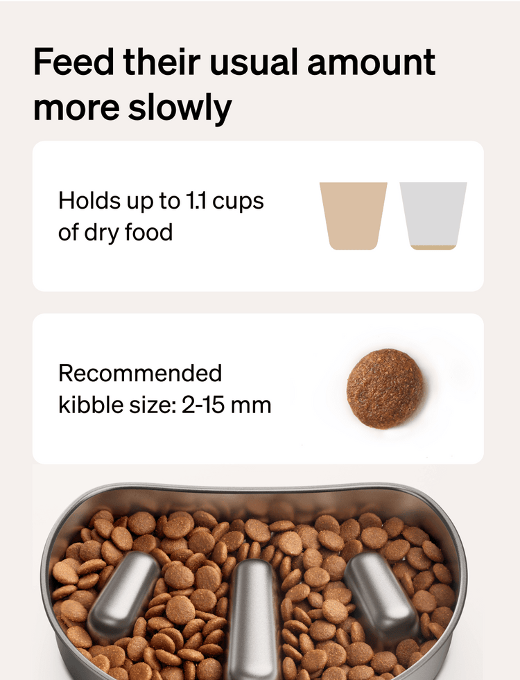 Petlibro cat automatic feeder infographic showing 1.1-cup dry food capacity and 2–15 mm kibble size; PETLIBRO pet fountain mention
