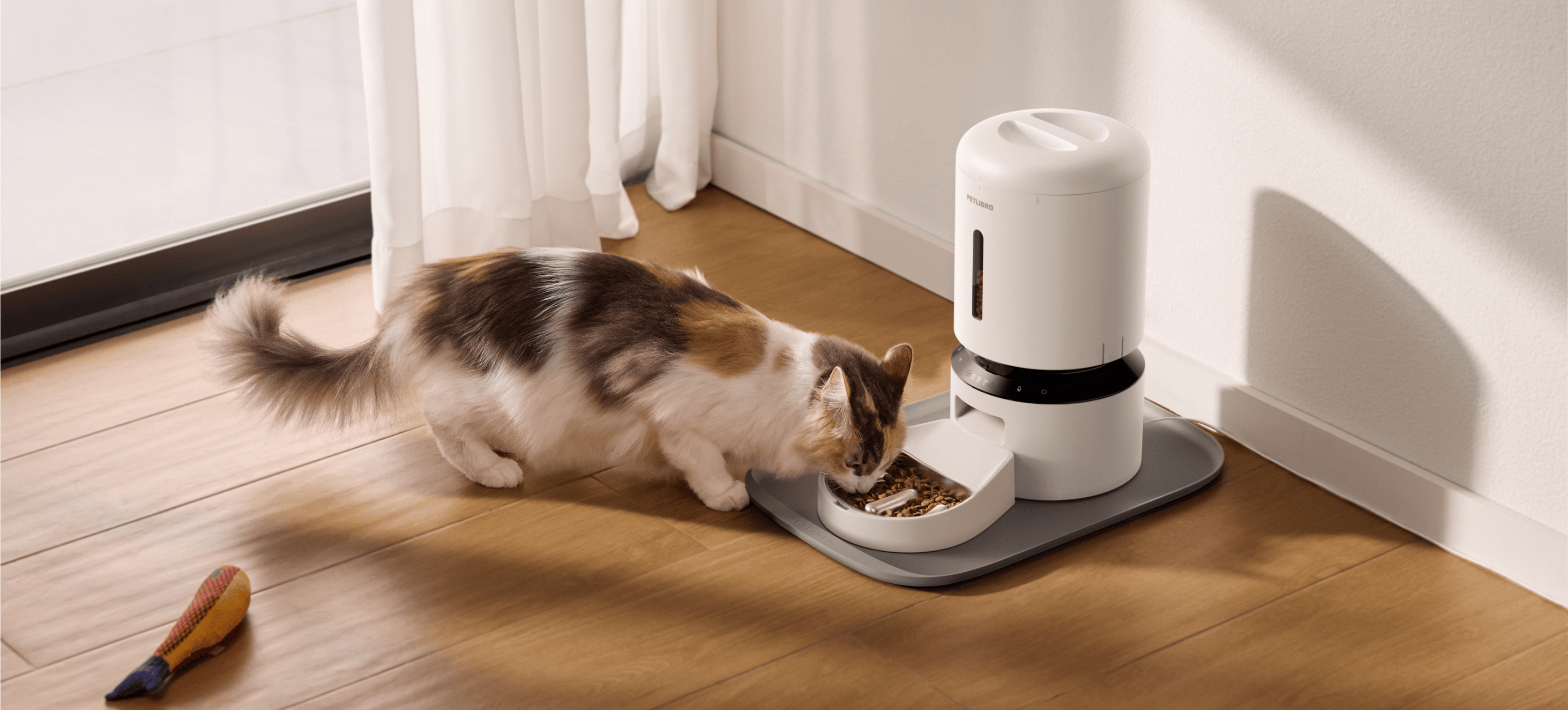 Petlibro cat eating from white PETLIBRO cat automatic feeder on gray mat by window, pet fountain style dispenser in home corner