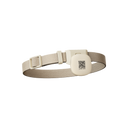 RFID Collar Tag