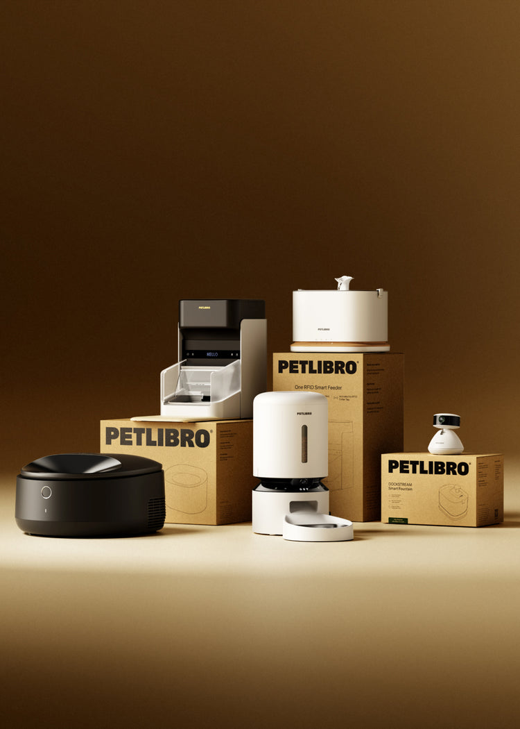 Cameras / Feeders / Fountains