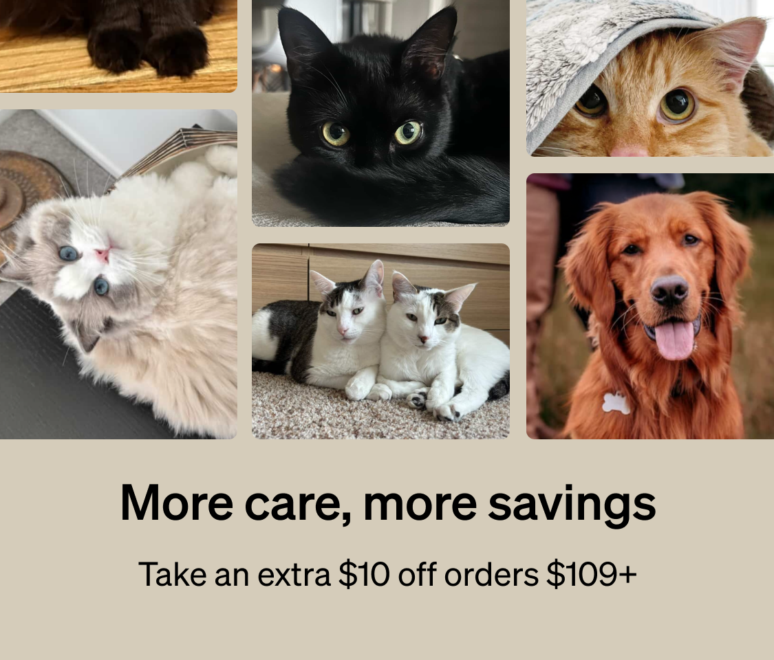 Petlibro Petlibro Luma、Petlibro Luma odor control, luma smart litter box, automatic self cleaning litter box, litter box deodorizer promo with pets