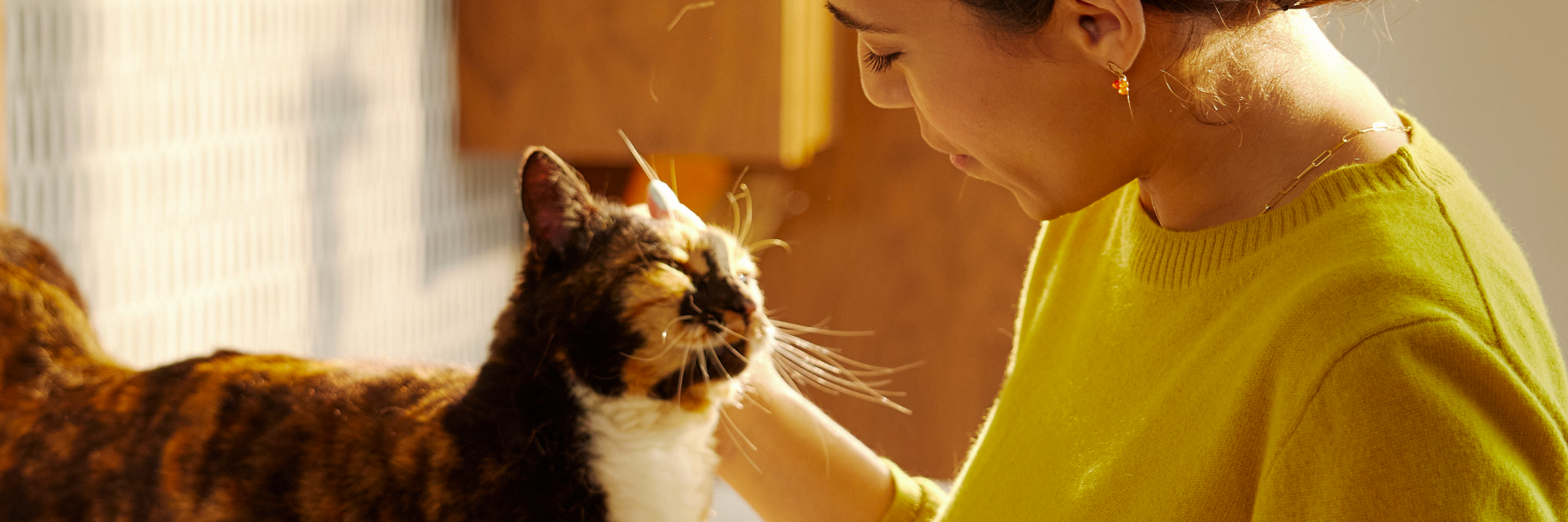 Petlibro Petlibro Luma、Petlibro Luma odor control、luma smart litter box, woman petting tortoiseshell cat in warm indoor light