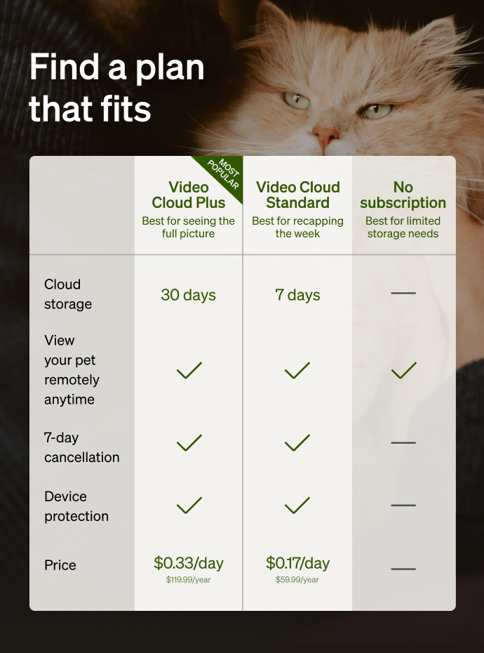 Petlibro subscription plan comparison chart showing Video Cloud Plus, Video Cloud Standard, and No subscription options with features and pricing details