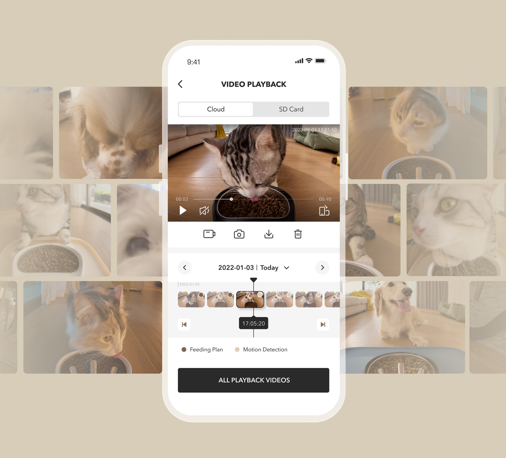 Petlibro mobile app interface showing video playback of a cat eating dry food from a black bowl with timeline and control options